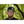 Laden Sie das Bild in den Galerie-Viewer, BRNSWK Style Inked Bearded & Awesome Snapback-Cap